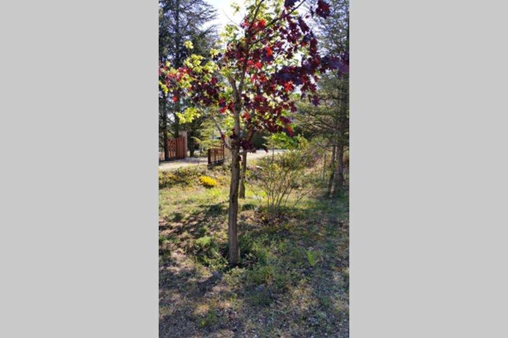Villa La Lurette Saint-Étienne-les-Orgues Esterno foto