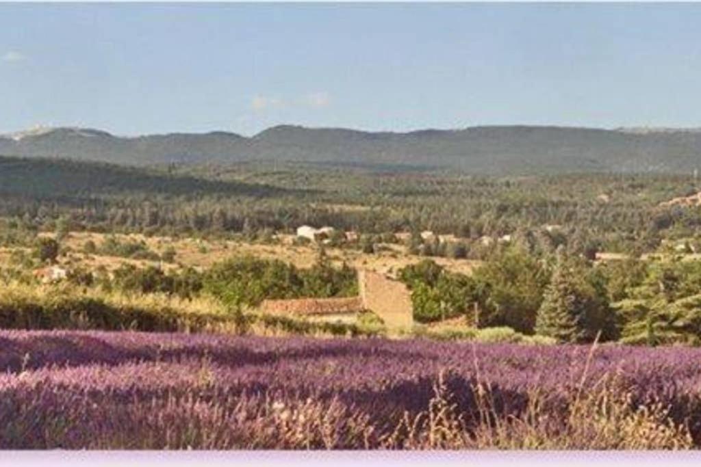 Villa La Lurette Saint-Étienne-les-Orgues Esterno foto