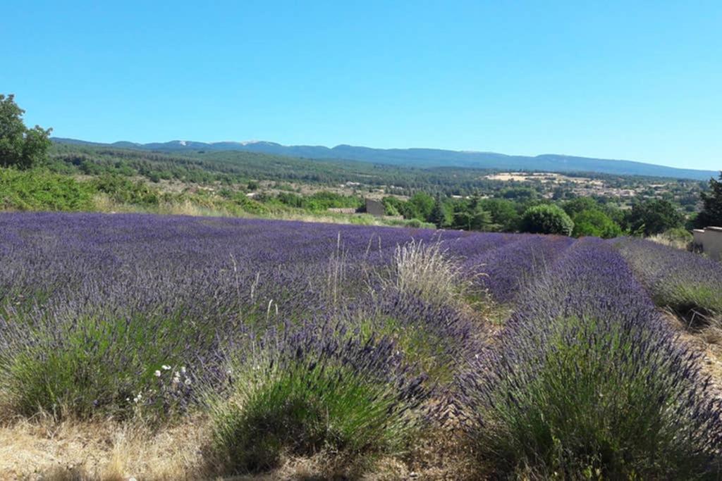 Villa La Lurette Saint-Étienne-les-Orgues Esterno foto
